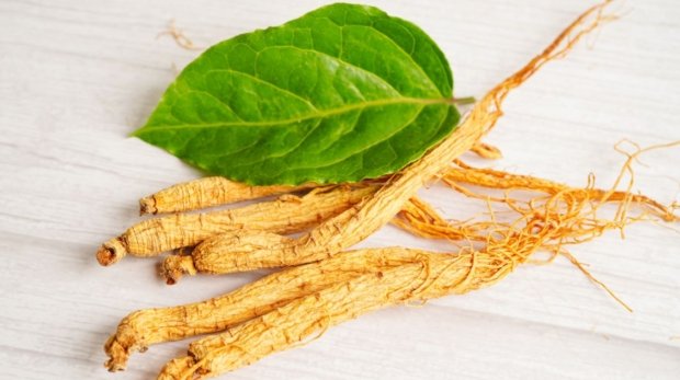 The Remarkable Benefits of Red Ginseng