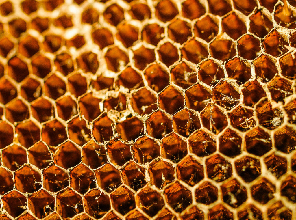 Honey with Royal Jelly and Its Benefits for Male Sexual Health