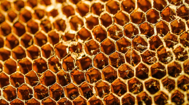 Honey with Royal Jelly and Its Benefits for Male Sexual Health