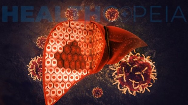 How to Detox your Liver