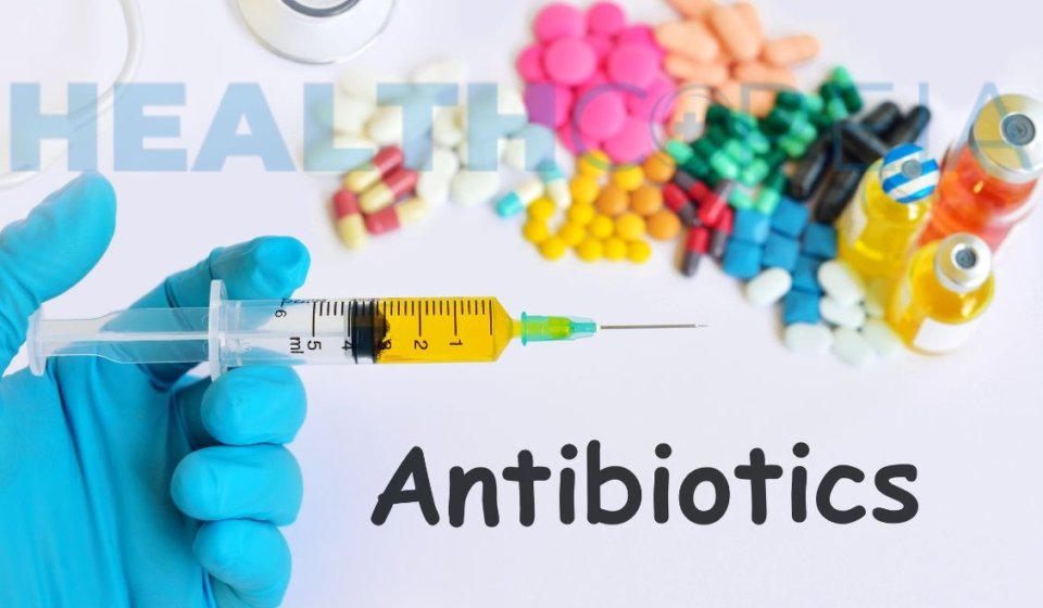 Antibiotic Resistance: Its Impact on Life and Health, How It Develops, and Why It Is Dangerous